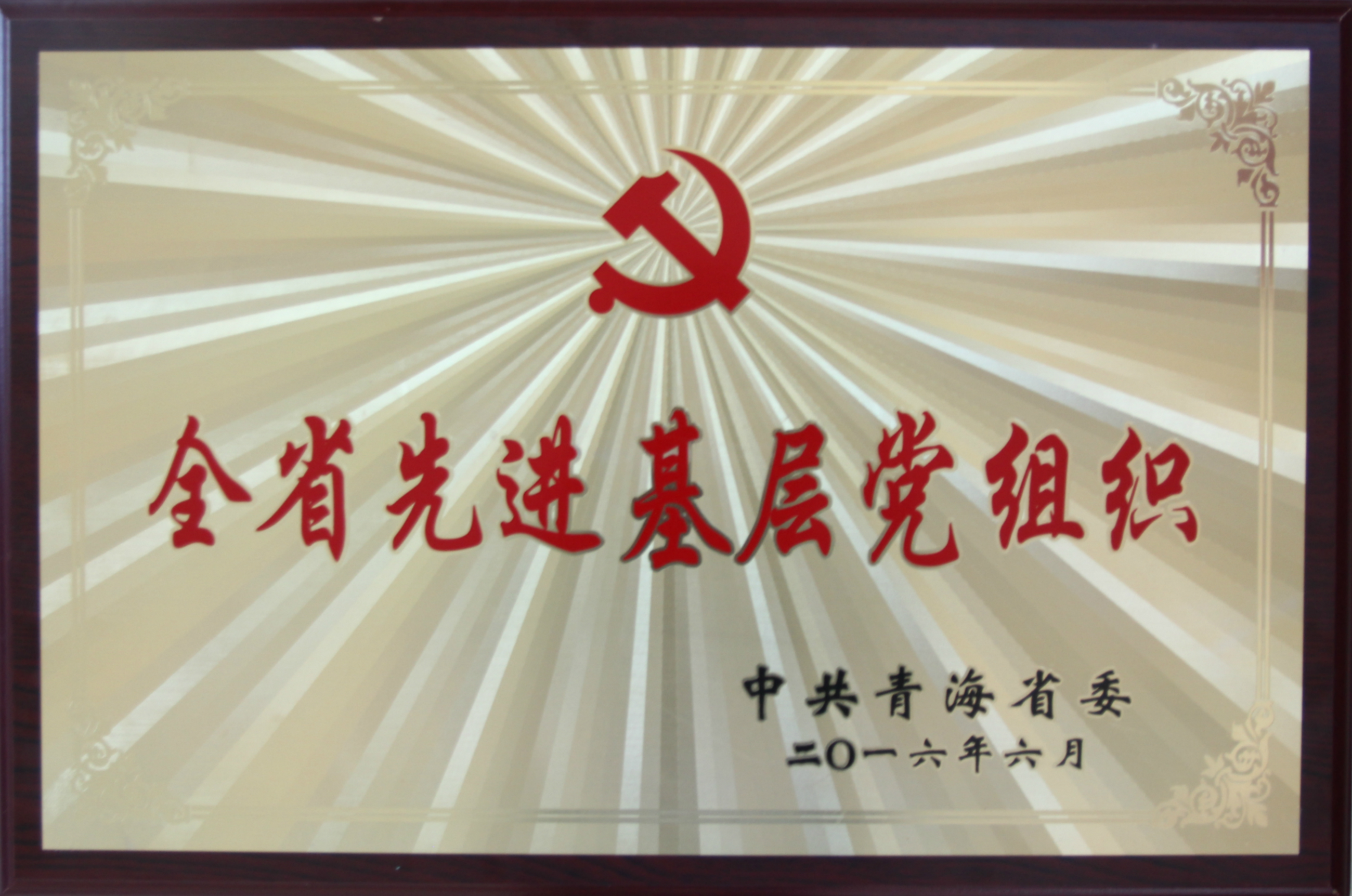 省先进基层党组织